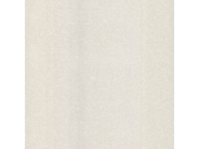 IWB00509