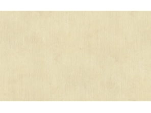 305666