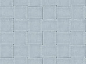 306491