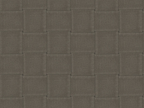 306494