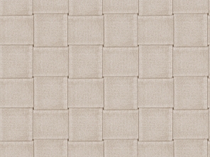 306496