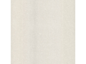 IWB00509